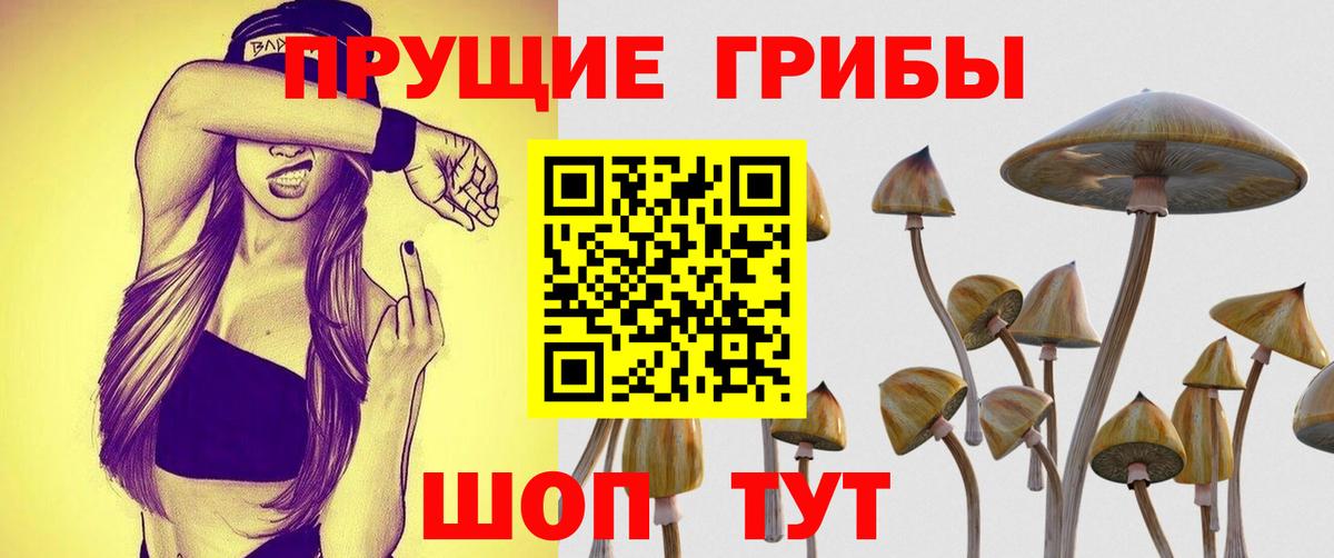 Псилоцибиновые грибы Magic Shrooms  Вход с VPN  Галлюциногенные грибы Psilocybine cubensis  Пыть-Ях 